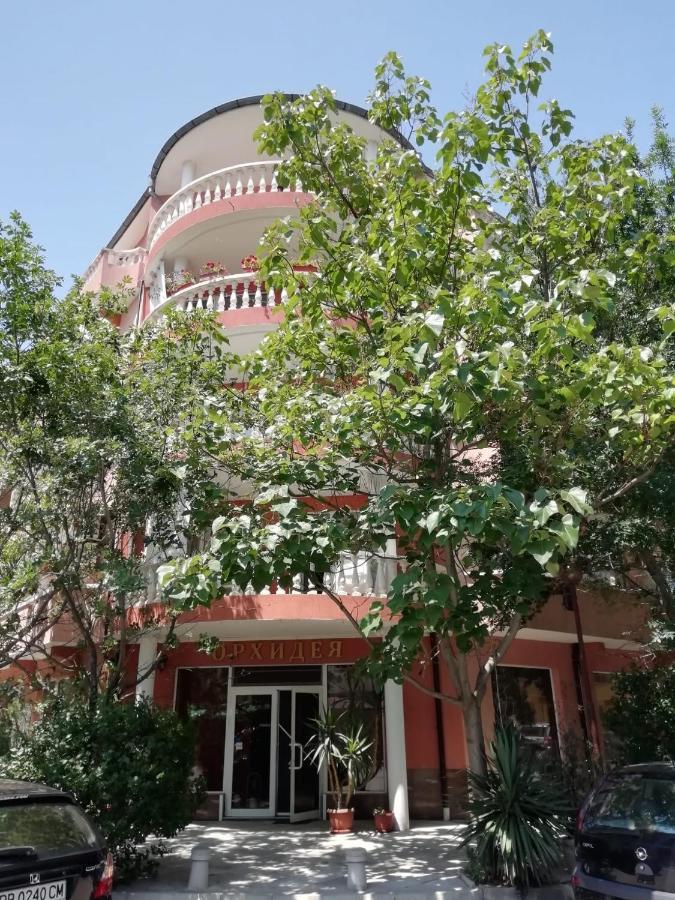 Art Guest House Orchidea بوموري المظهر الخارجي الصورة
