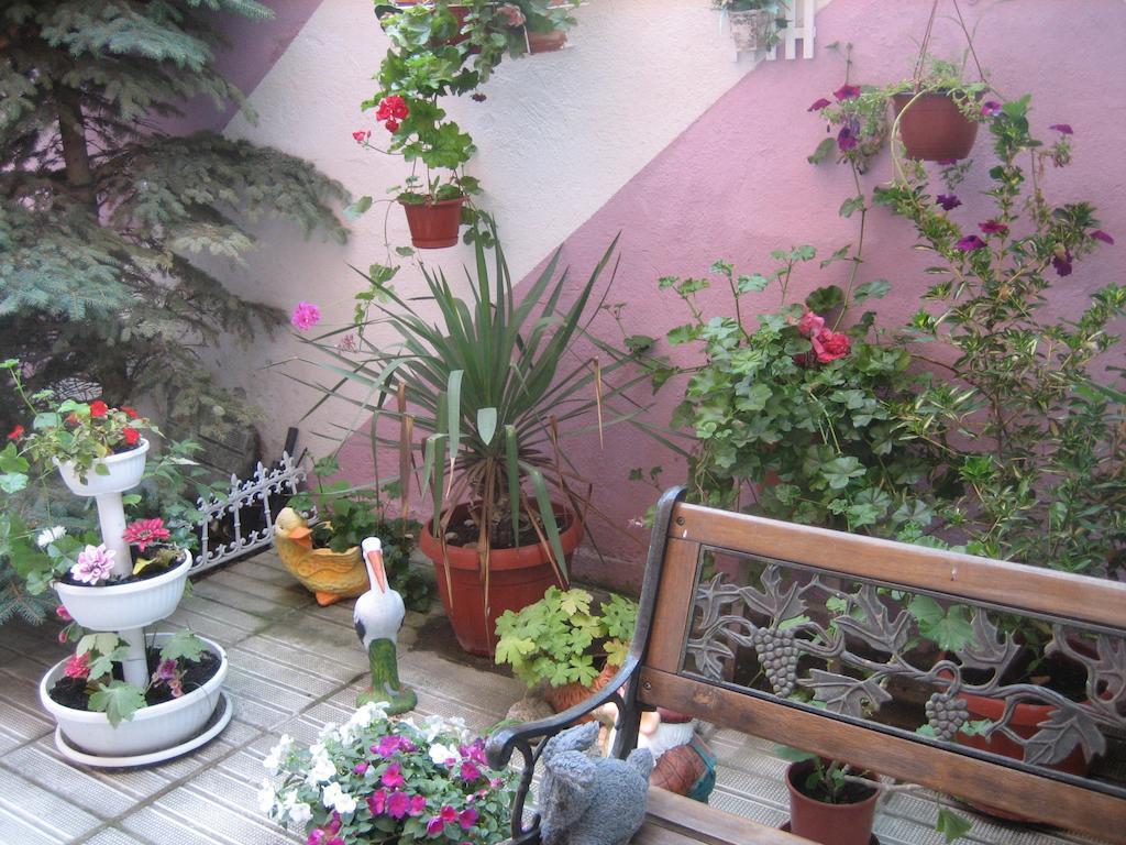 Art Guest House Orchidea بوموري المظهر الخارجي الصورة